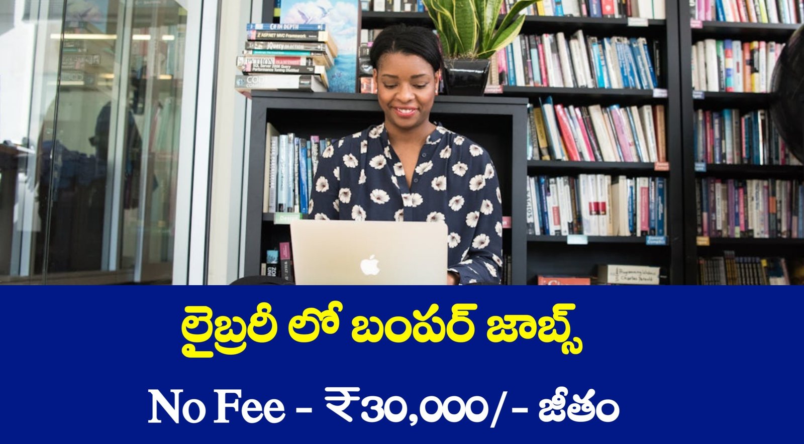 IIIT Non Teaching Notification 2025
