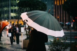 AP and TS Weather Forecast
