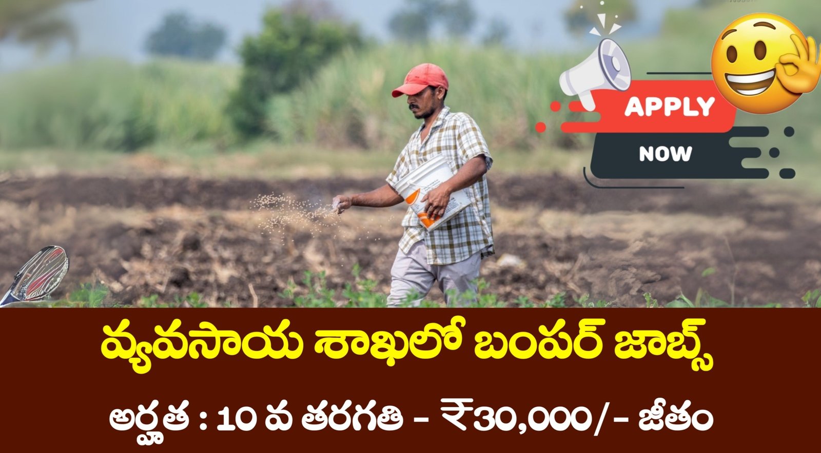 MANAGE Jobs Notification 2025