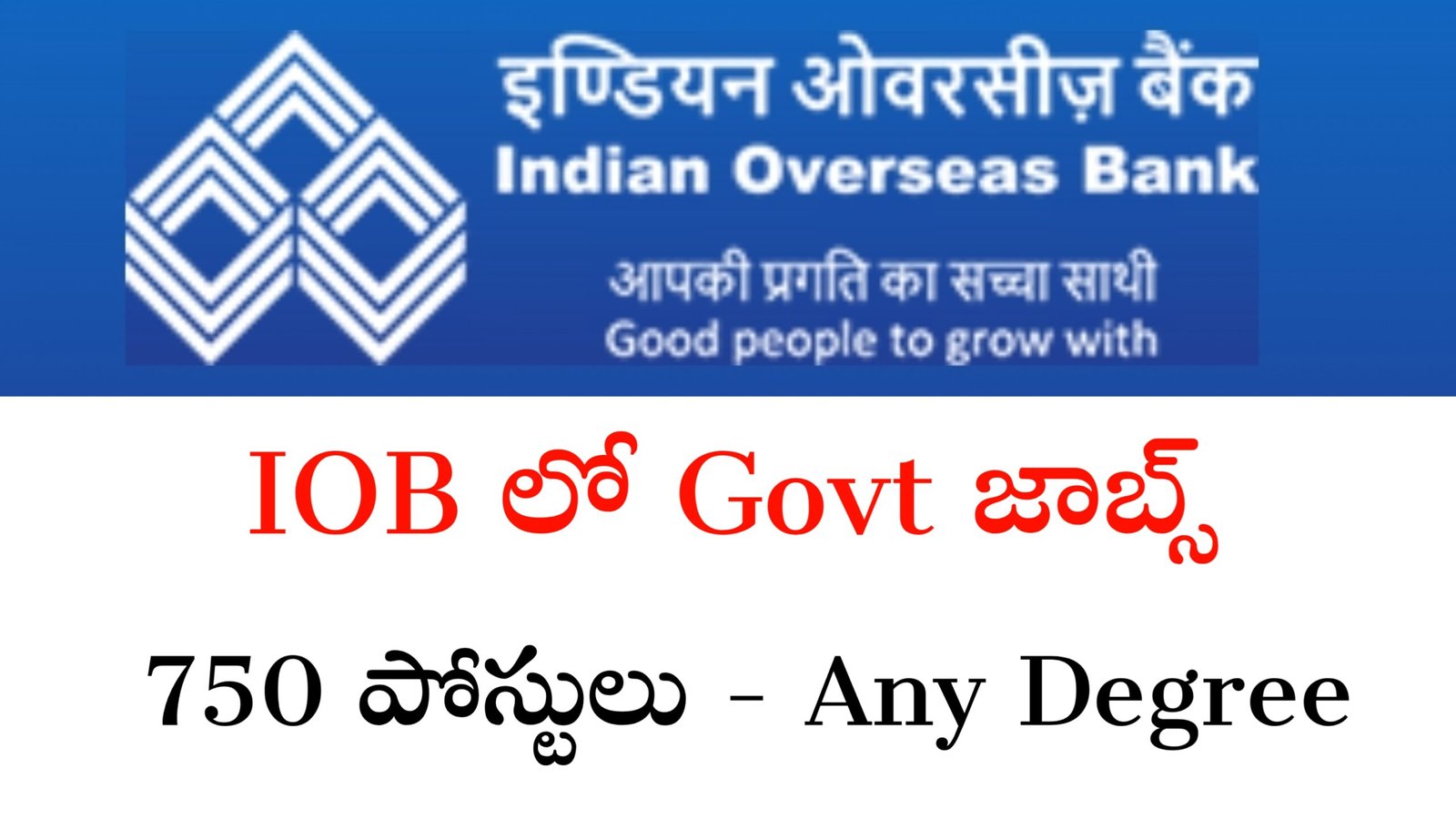 IOB 750 Jobs Notification 2025